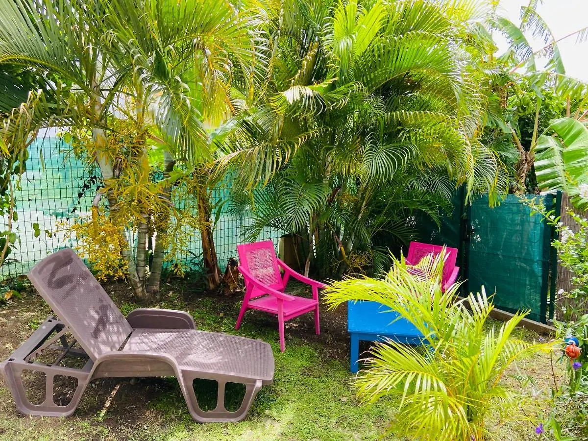 Studio Solymar Anse Mabouya Apartment Sainte-Luce