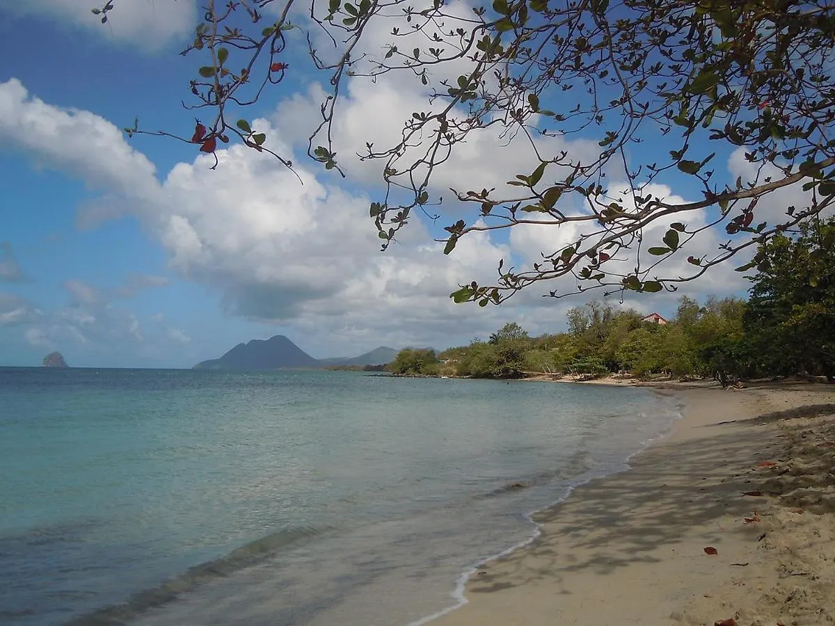 Studio Solymar Anse Mabouya Apartment Sainte-Luce Martinique